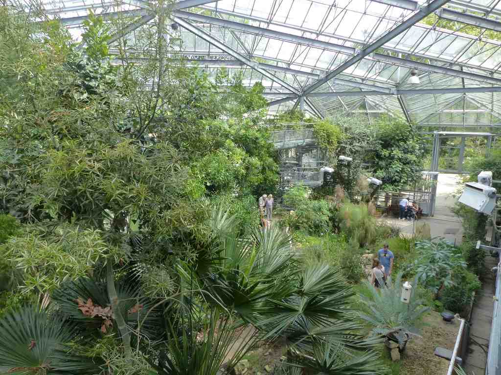 Hortus Botanicus
