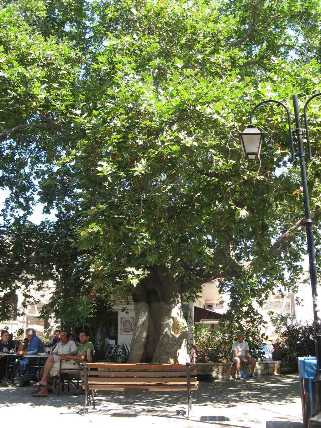 Splantzia Square