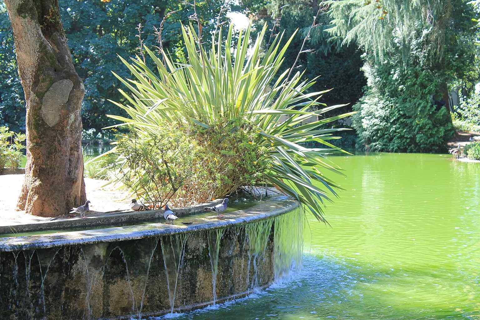 The lake at the heart of the gardens, once at the center of the 2009 and 2013 controversy over a proposed redevelopment.
