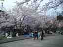 Tokushima Central Park