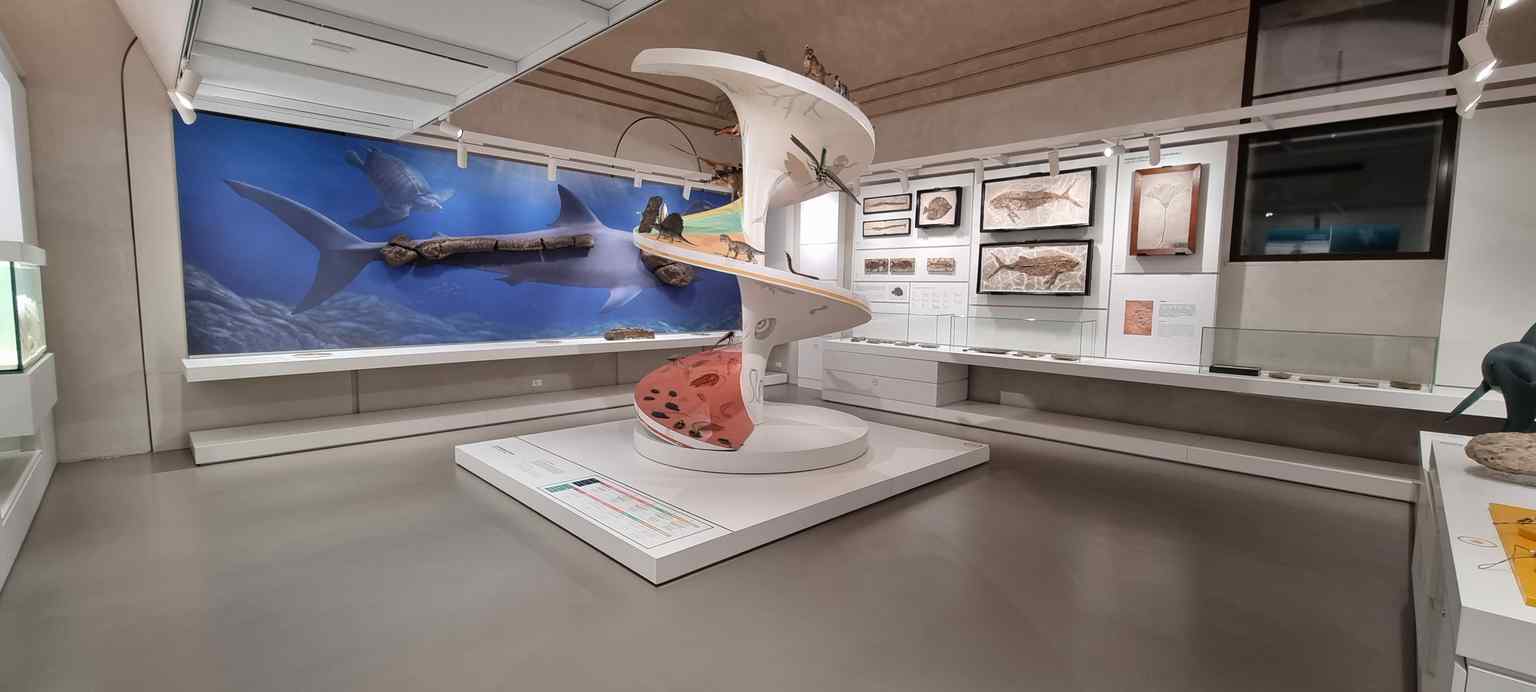 Step inside one of the exhibition halls at the Natural History Museum (Museo Kosmos), where diverse collections have been displayed since its founding in 1775.