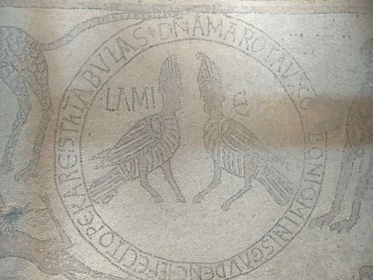 A detailed view of the original floor mosaic, tied to the cathedral’s ancient underground layers and the discovery of two superimposed pavements.