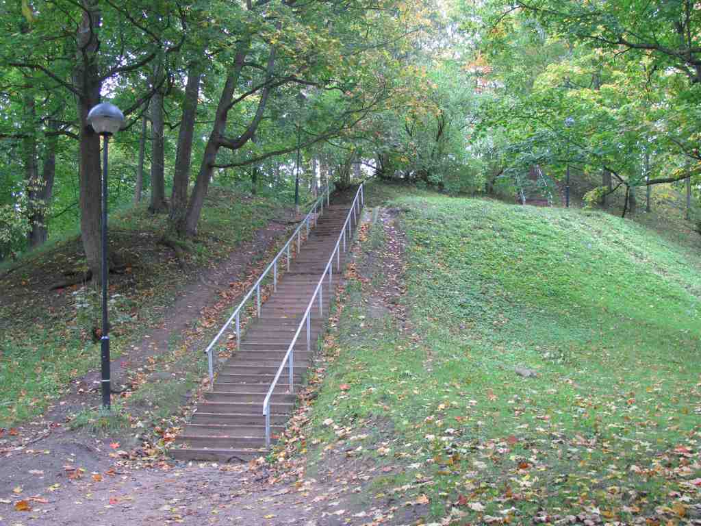 Toomemägi