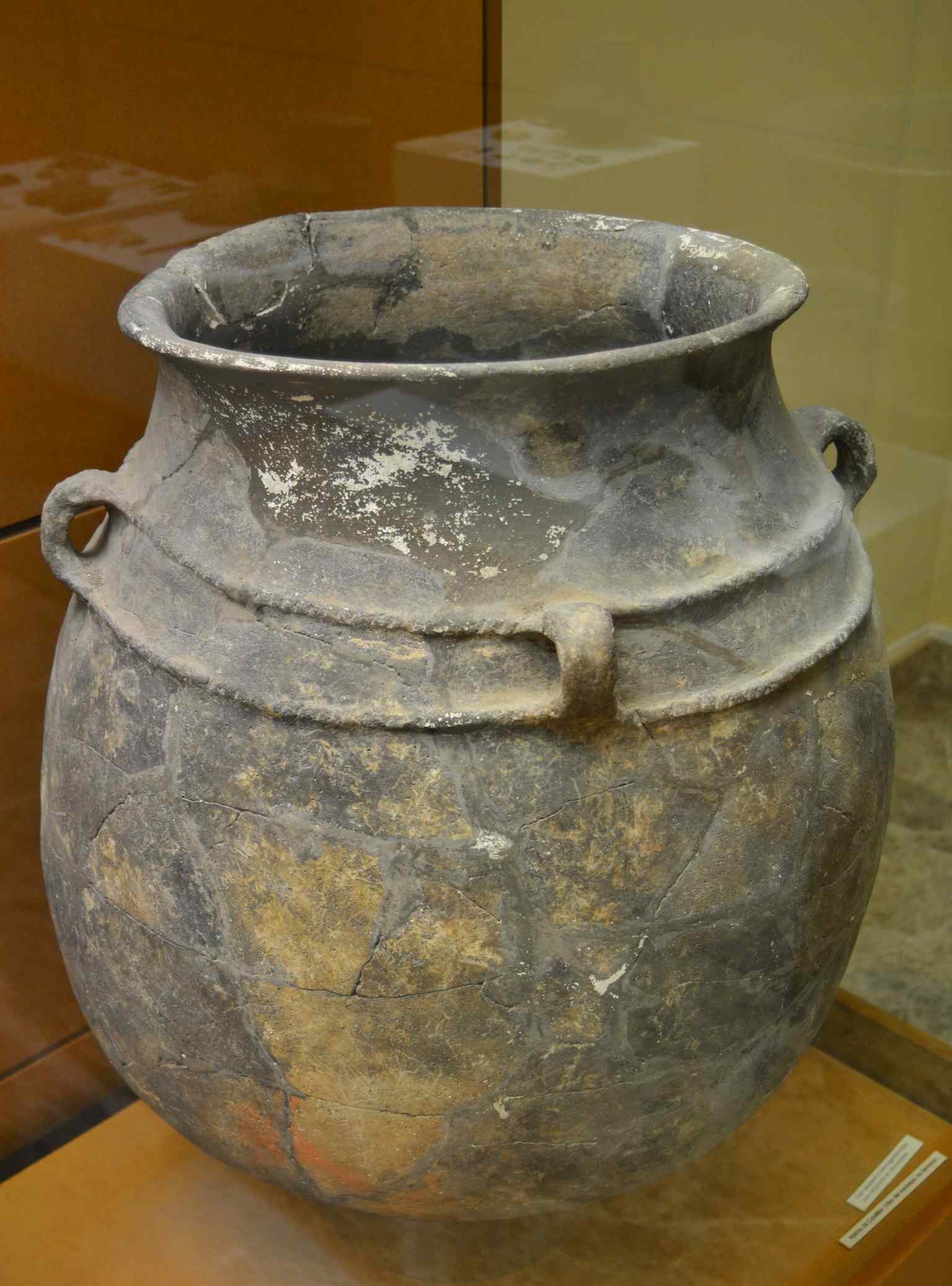 A large Bronze Age storage vessel from Puntal de Cambra, showcased at the Prehistory Museum of Valencia (2013).