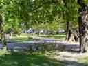 Fryderyk Chopin przy pianinie
