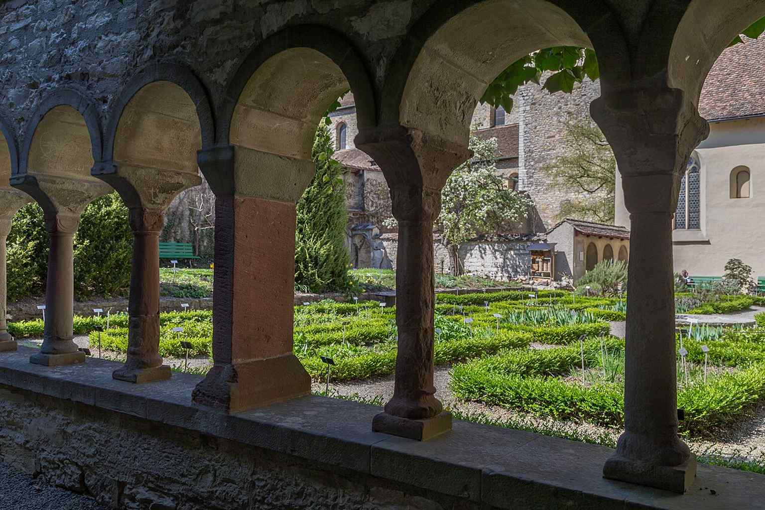 Looking from the cloister into the herb garden, echoing the monastery’s enclosed practical and devotional world.