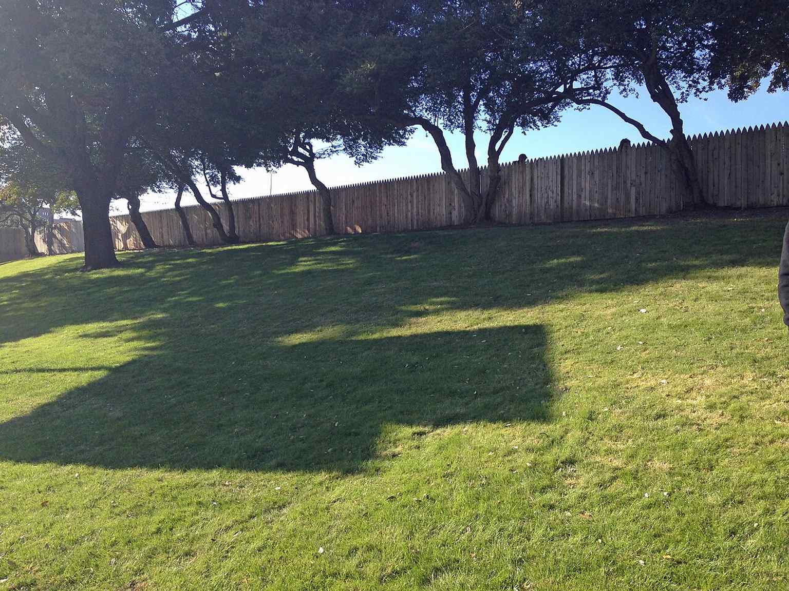 The grassy knoll is one of Dealey Plaza’s most famous features, forever linked to witness accounts and assassination theories.