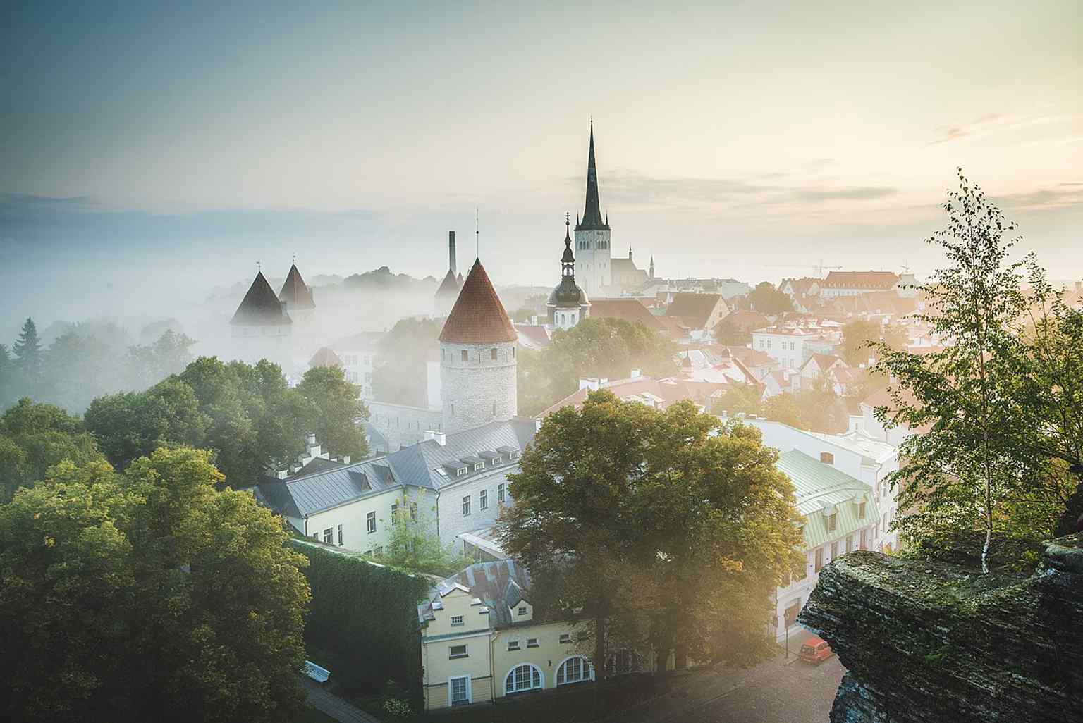 Sunrise over the Old Town from Patkul viewing platform, showing the dense medieval roofscape and tower skyline.