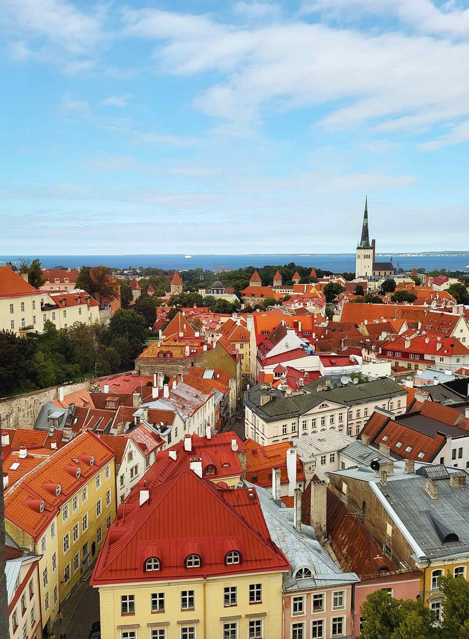 A classic view of Tallinn Old Town framed by its surviving walls, highlighting the intact 13th-century layout.