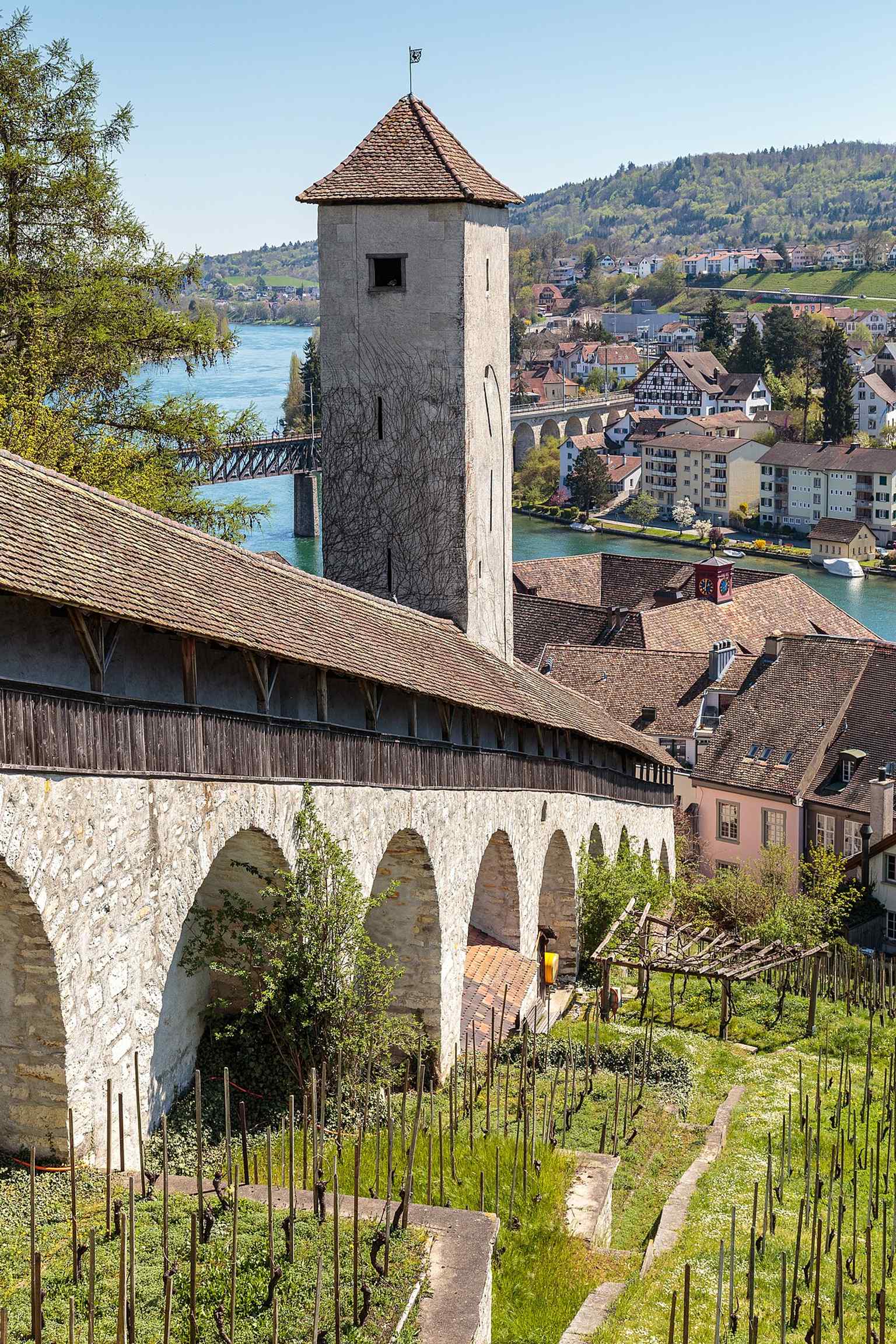 A sweeping view from the Munot over the Rhine and surrounding town, echoing its old role as a watchpoint for fires, storms, and river traffic.