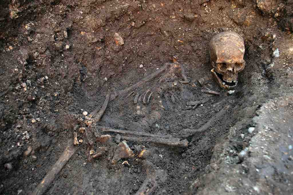 King Richard III Visitor Centre