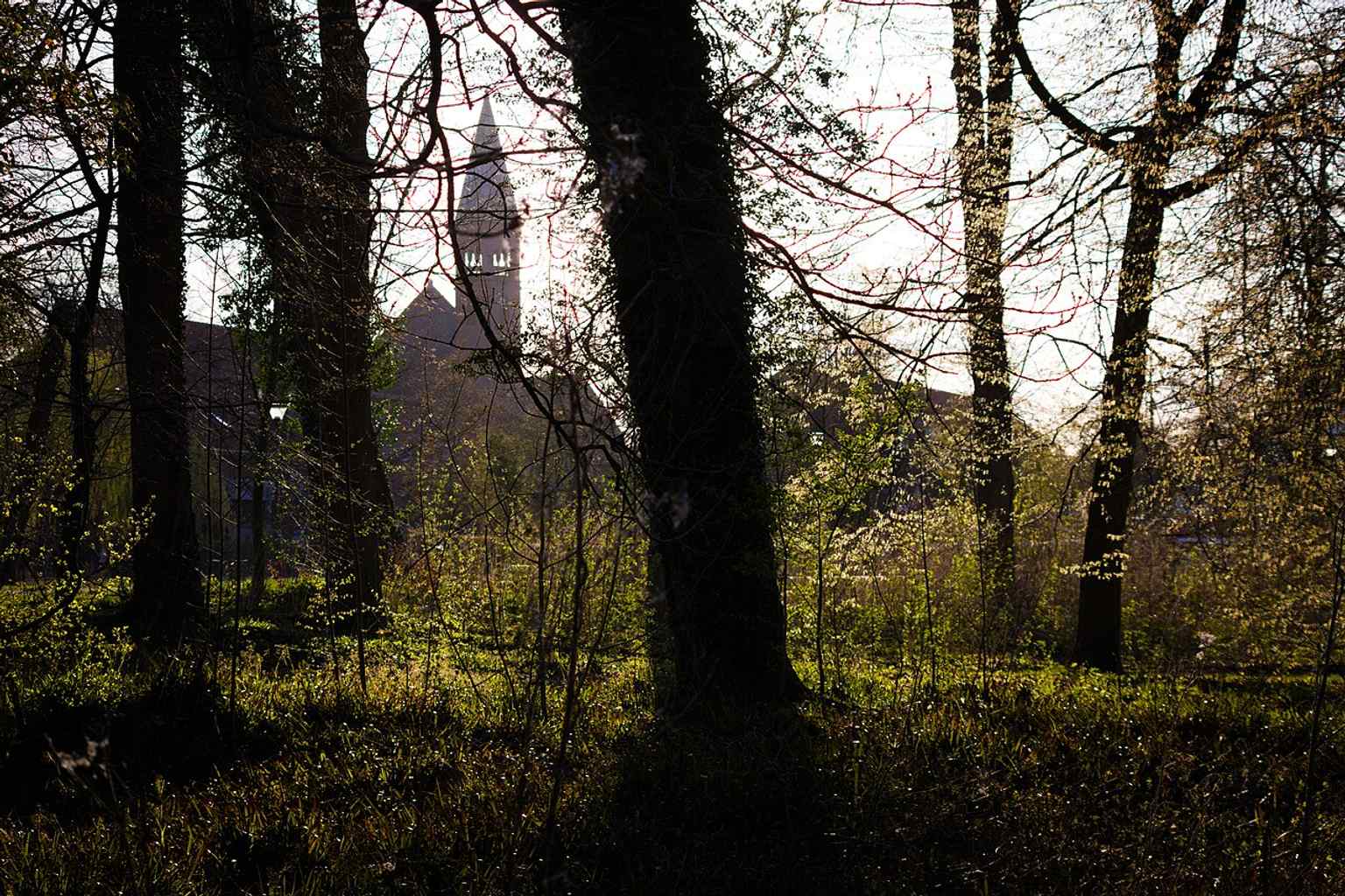 A wide view of Munke Mose, the central Odense park that grew out of former marshland and became a key city green space.