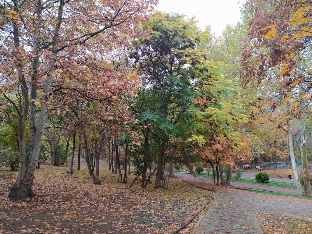 Circular Park