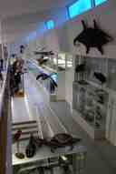 Zoological Museum of the University of Turku