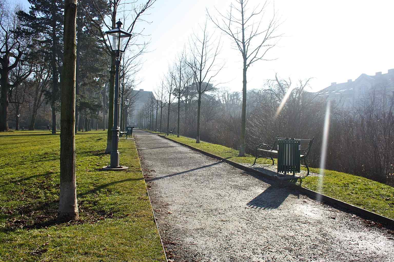 Montclair-Allee in the city park, one of the double avenues laid out to give the park its English-garden character.