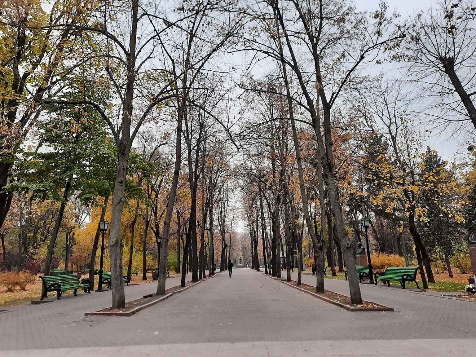 Seen from Ștefan cel Mare Boulevard, this angle captures the alley’s central position in the park and its long sculptural axis.