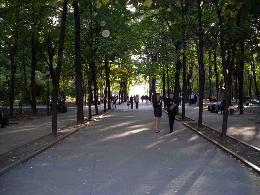 The Alley of the Classics
