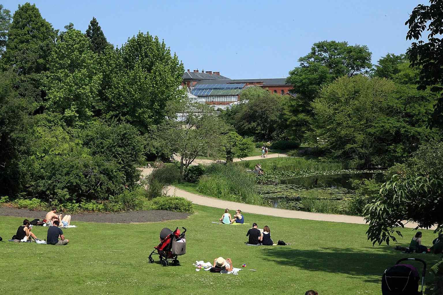 View across the tranquil lake within the botanical garden, with the iconic 1874 Palm House visible in the background.