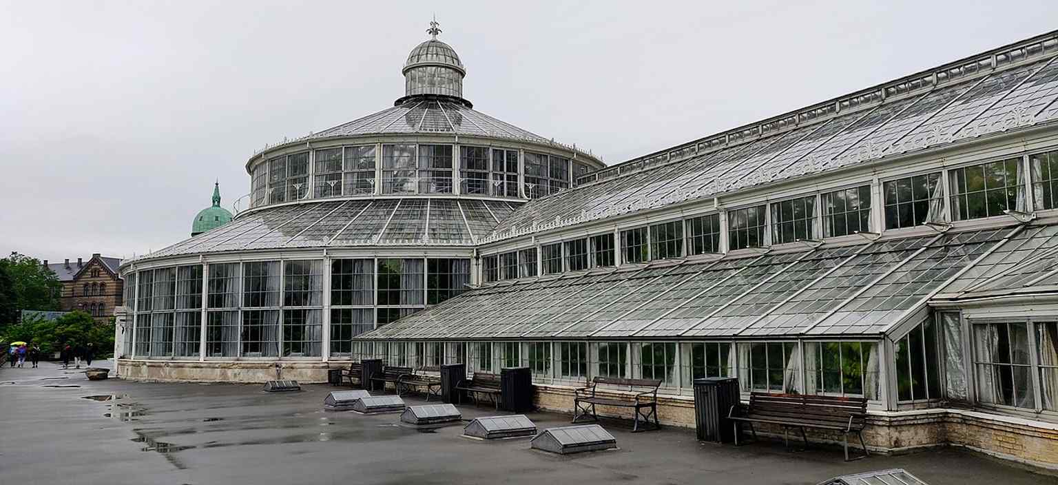 Inside the magnificent Palm House, a 16-meter tall conservatory complex built in 1874, which was inspired by London's Crystal Palace.
