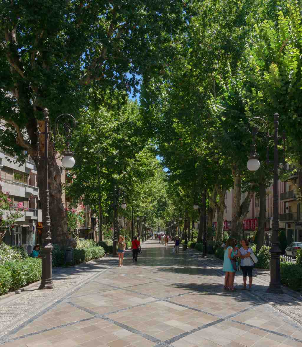Puerta Real