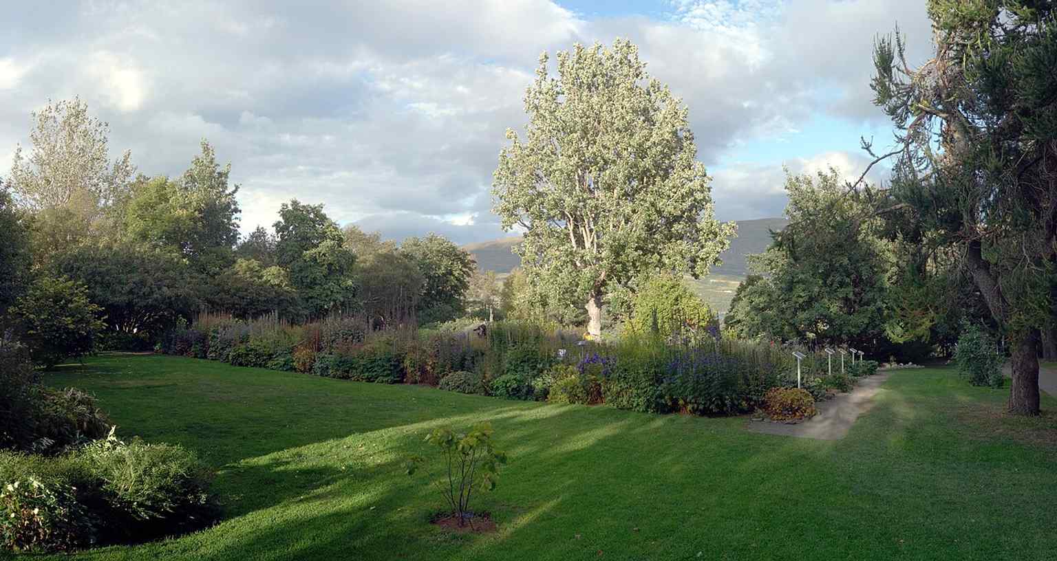 Wide panorama of Akureyri Botanical Garden, showing the green layout of one of the world’s northernmost botanical gardens.