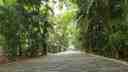 Arroceros Forest Park