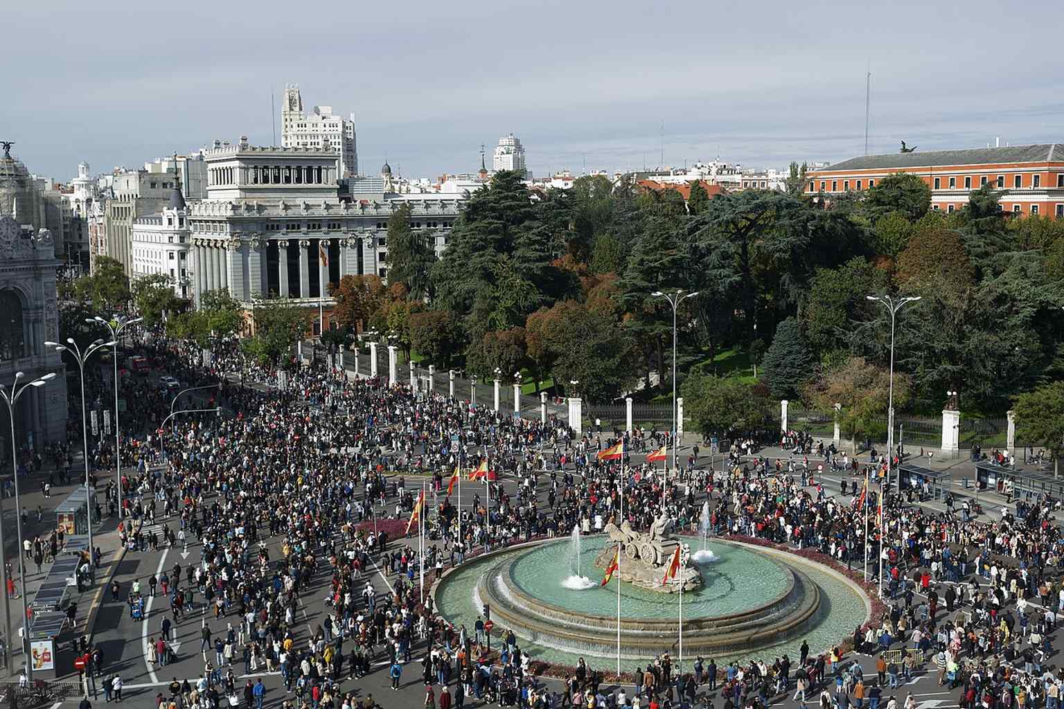 Trashumance day in Cibeles, when a herd passes through the plaza and revives Madrid’s old livestock routes.