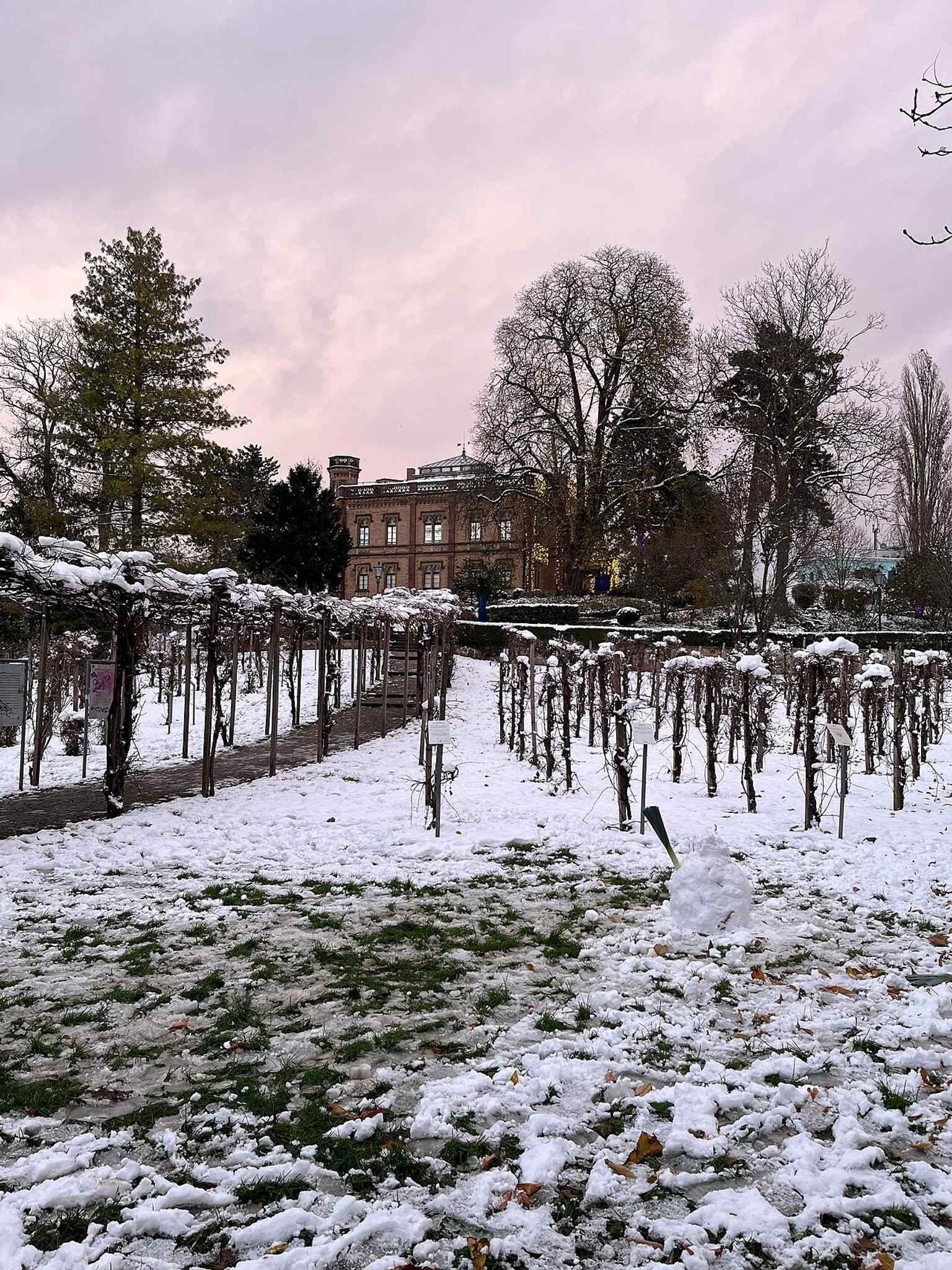 A recent exterior view of Colombischlössle in Freiburg, showing the villa as it stands today beside the park.