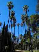 Castelar Park