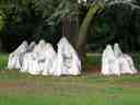 The Anonymous