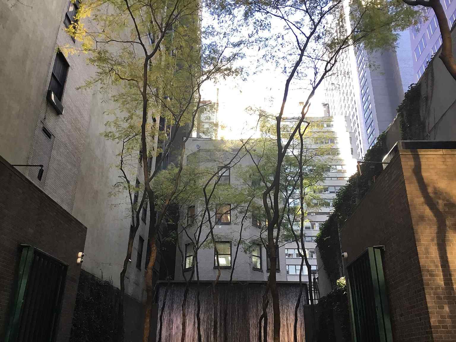 Another 2022 exterior showing Paley Park’s open front and street presence, a key part of its inviting pocket-park design.