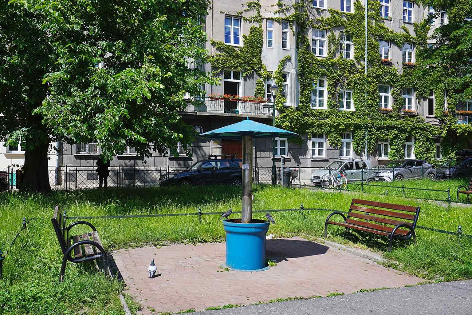 The Jagiellonian well at the square is a small but important feature of the renewed public space, tying the site to its everyday neighborhood use.