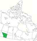 Anglican Diocese of Calgary