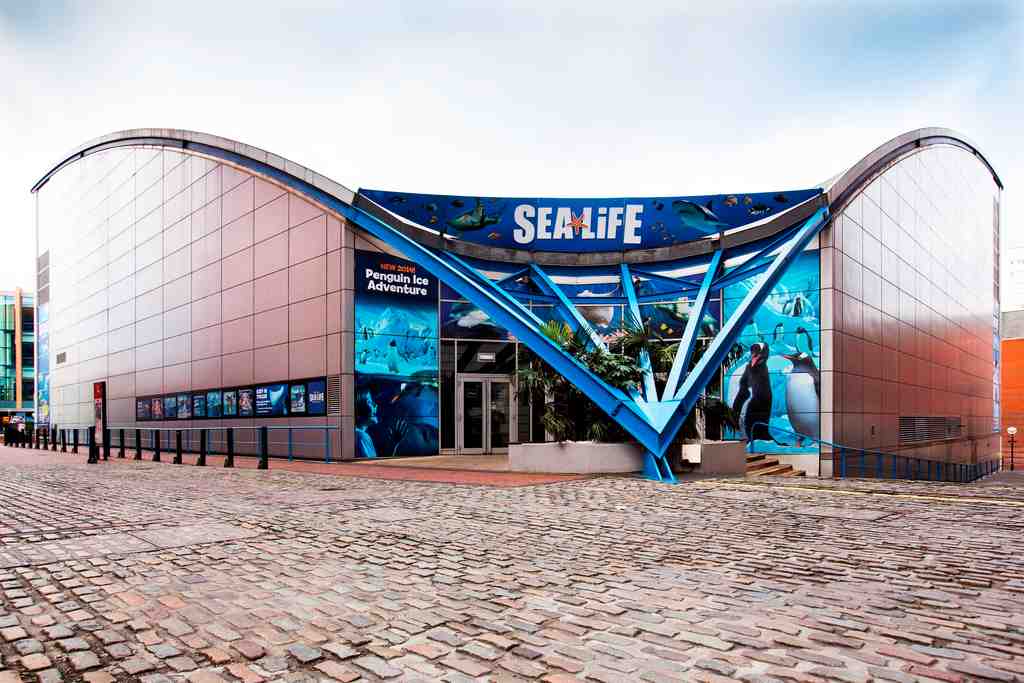 National Sea Life Centre, Birmingham
