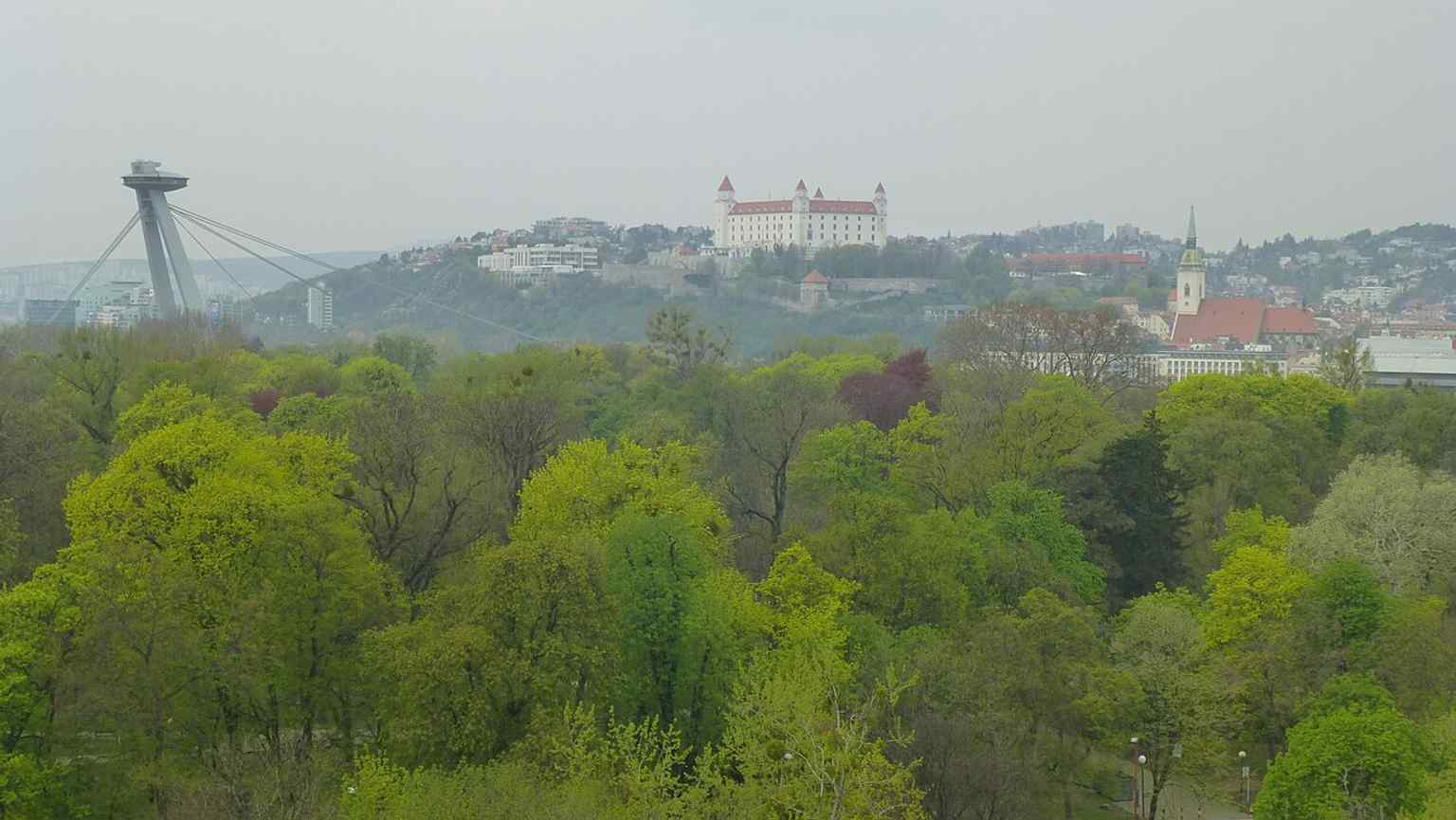 The bridge and the Danube from the park side — a strong cityscape that highlights SNP Bridge as one of Bratislava’s main visual landmarks.