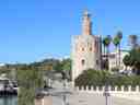 The Golden Tower