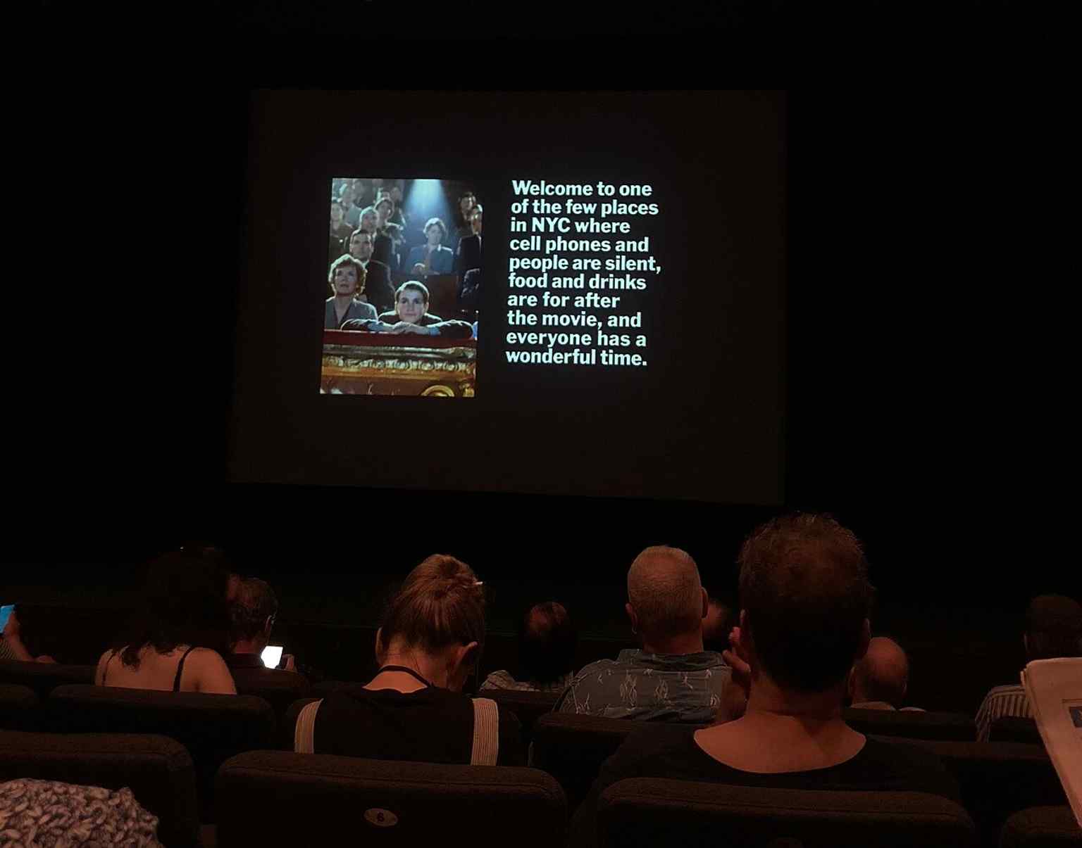 Inside MoMA’s film theater, a reminder that the museum’s curators include a long-running film department alongside painting and sculpture.