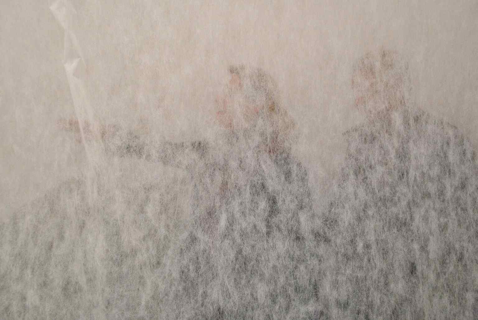 An immersive contemporary installation at MoMA, showing how the museum presents experimental work that can surround the viewer.