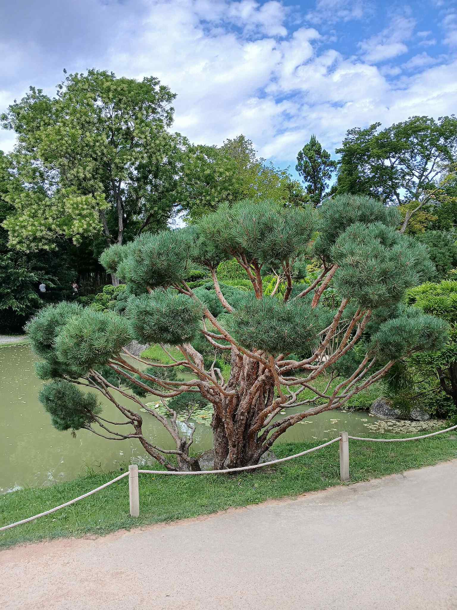 A garden scene that highlights one of the park’s sculptural elements, part of the public artworks scattered through Compans-Caffarelli.