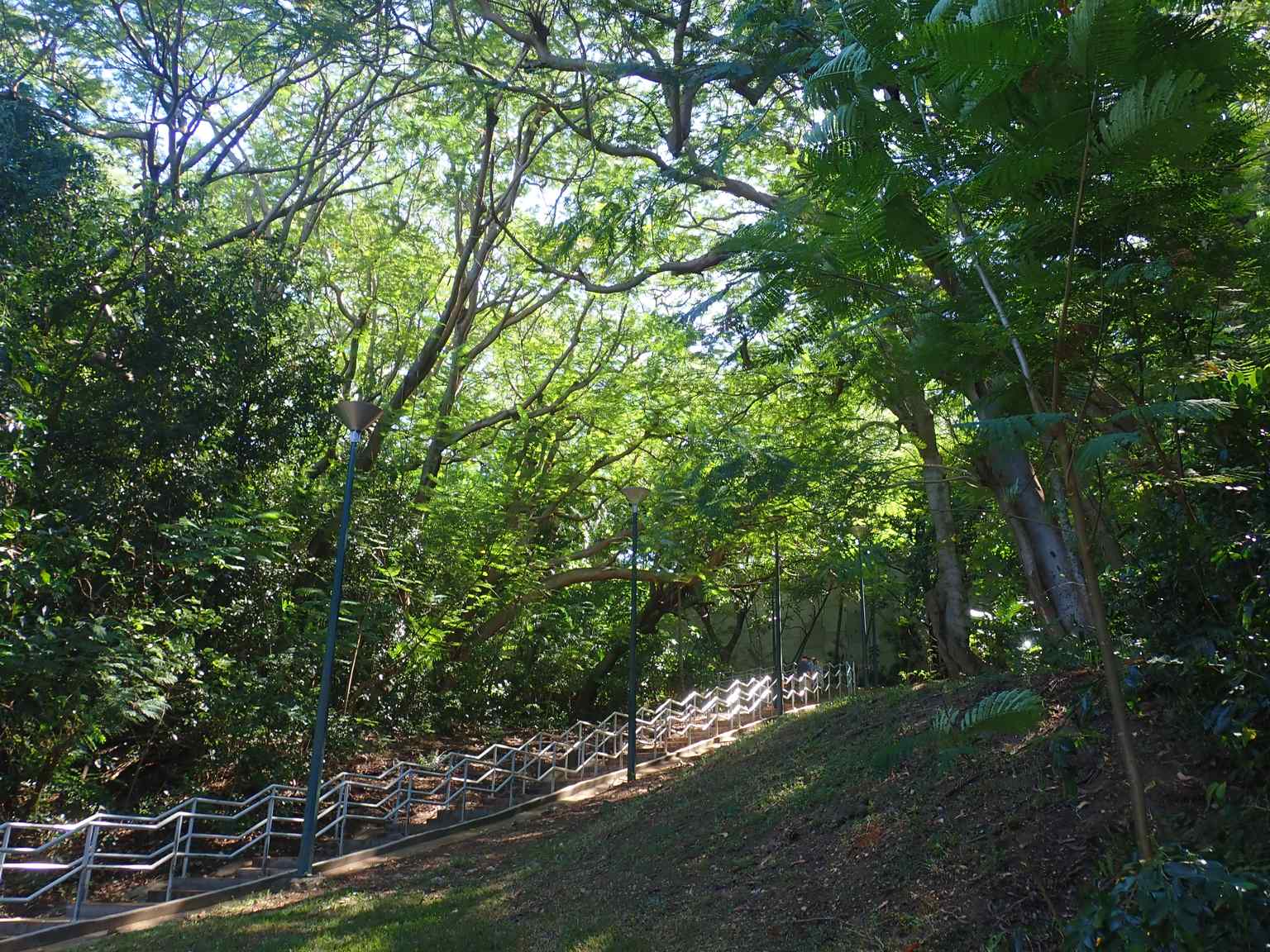 The mosaic pathway in Damoe-Ra Park honours the women of the Northern Territory, a central feature created through collaborative artistry and officially opened in 2004.