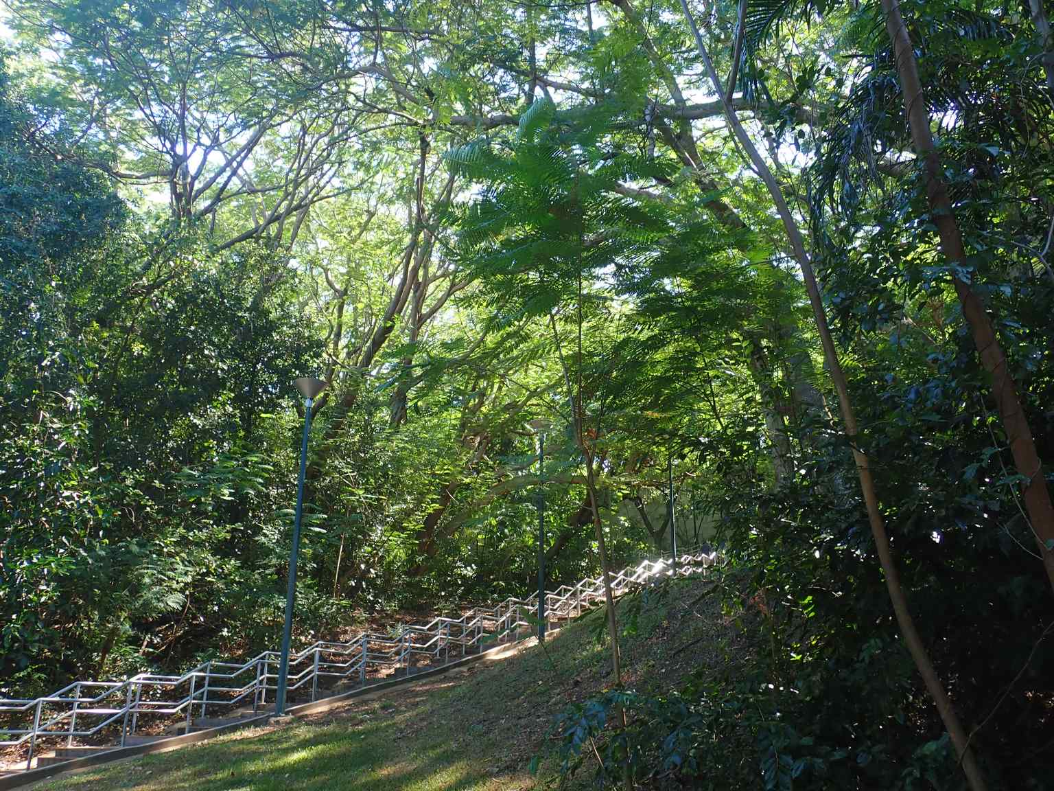 A closer look at the intricate mosaic pathway, which has faced challenges from Darwin's harsh climate and vandalism, prompting future revitalisation plans.