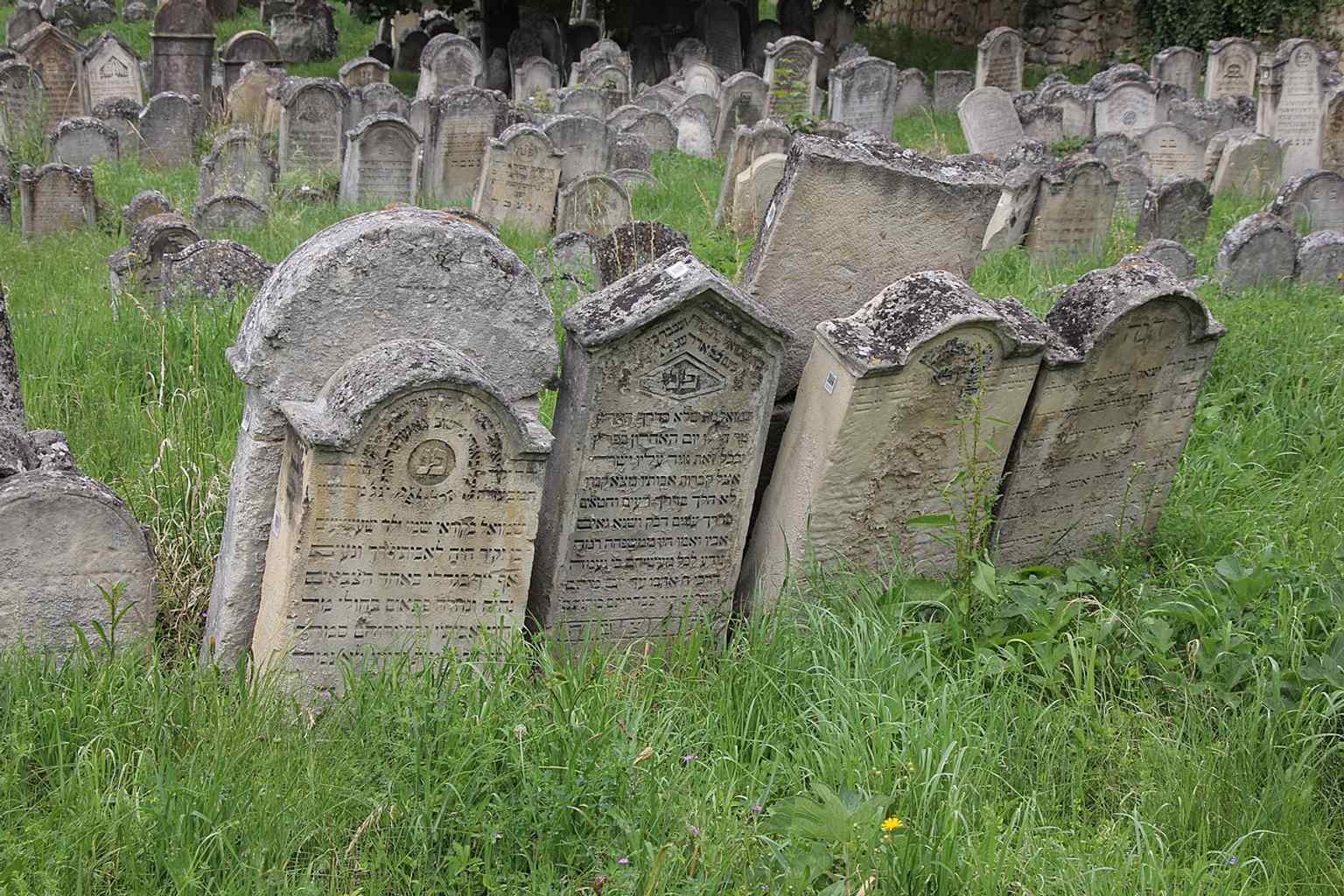 Another wide cemetery view showing the dense layout of graves that makes this site such an important historical document.