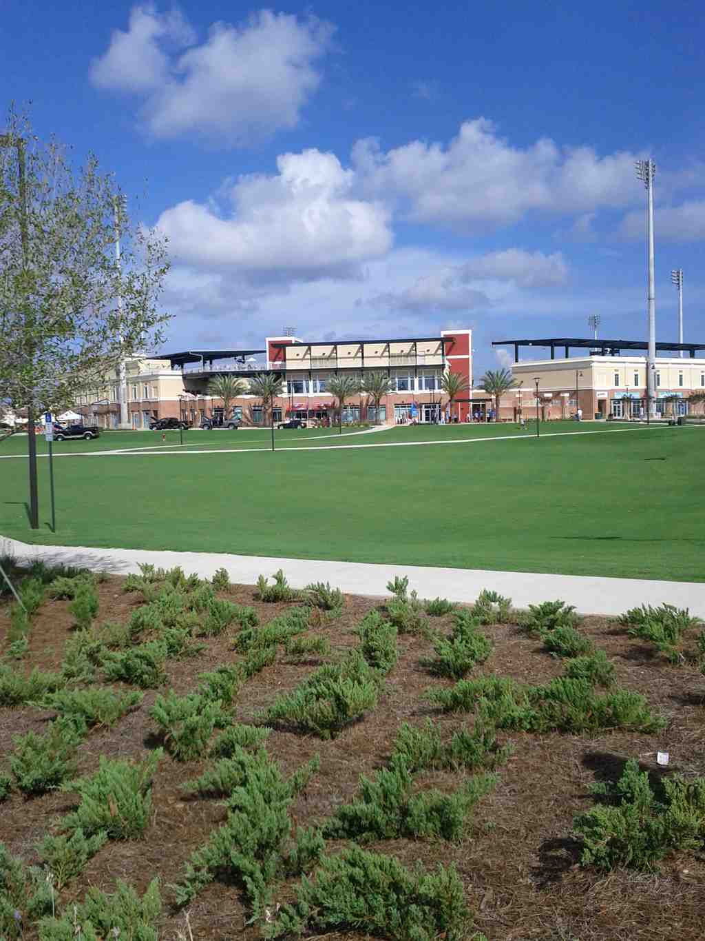Blue Wahoos Stadium