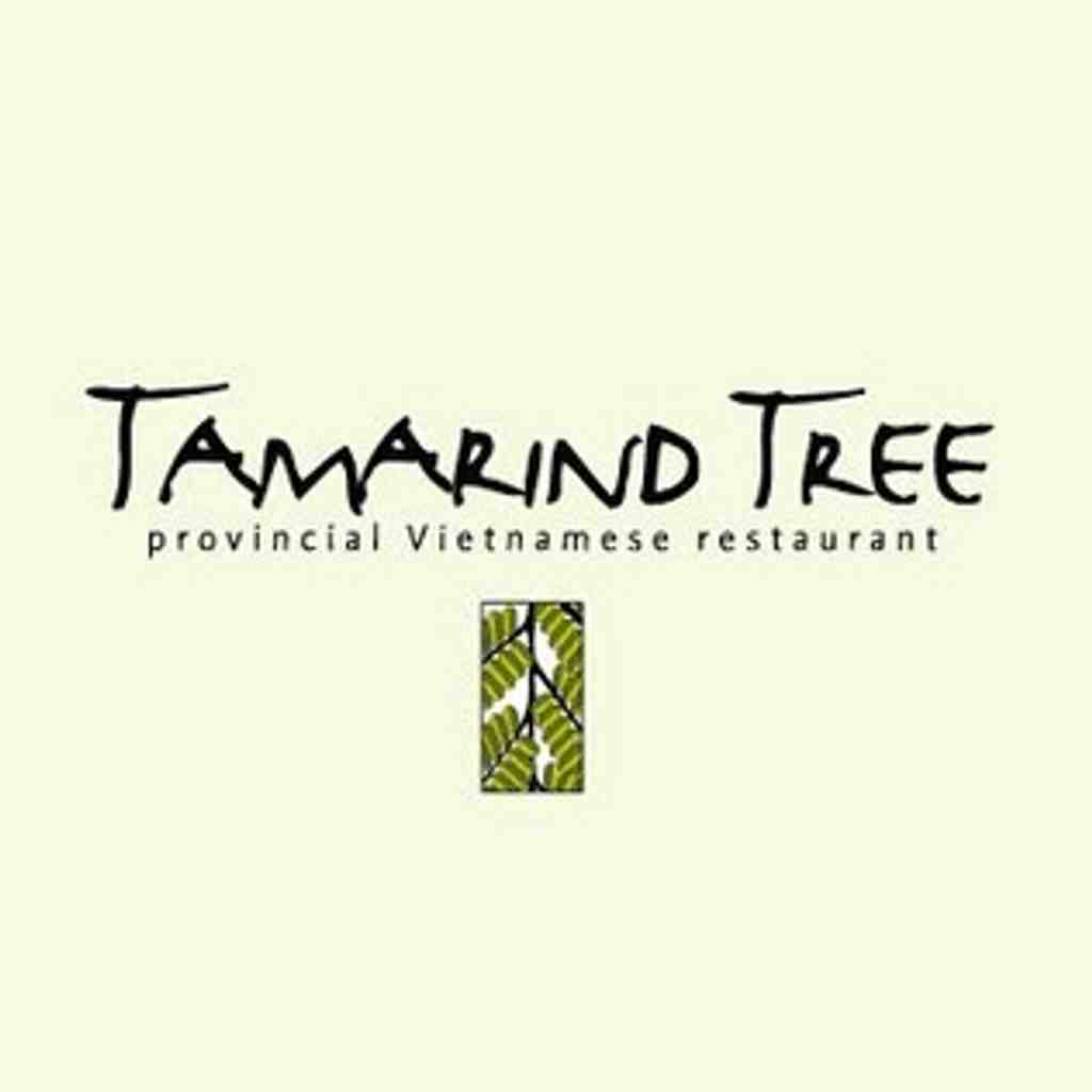 Tamarind Tree