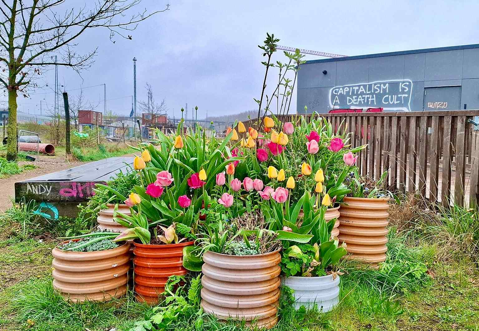 Repurposed railway huts and site details in the Godsbanen grounds, reflecting the area’s ongoing reuse and redevelopment into Aarhus K.