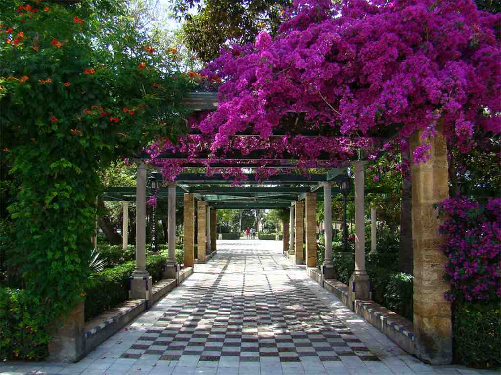 Alameda Apodaca