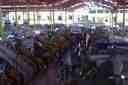 Mercado San Camilo