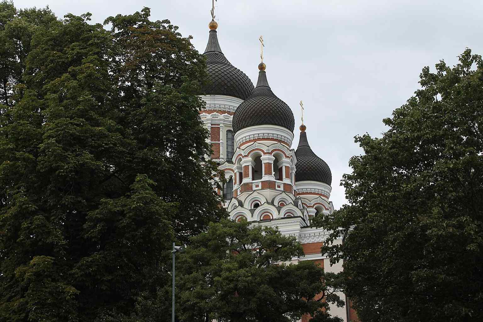 A broader context view with the cathedral rising above the old town trees, emphasizing its position on Toompea Hill above medieval Tallinn.