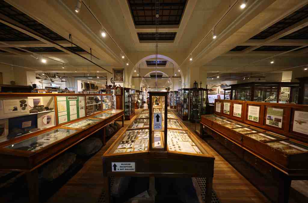 Whitby Museum