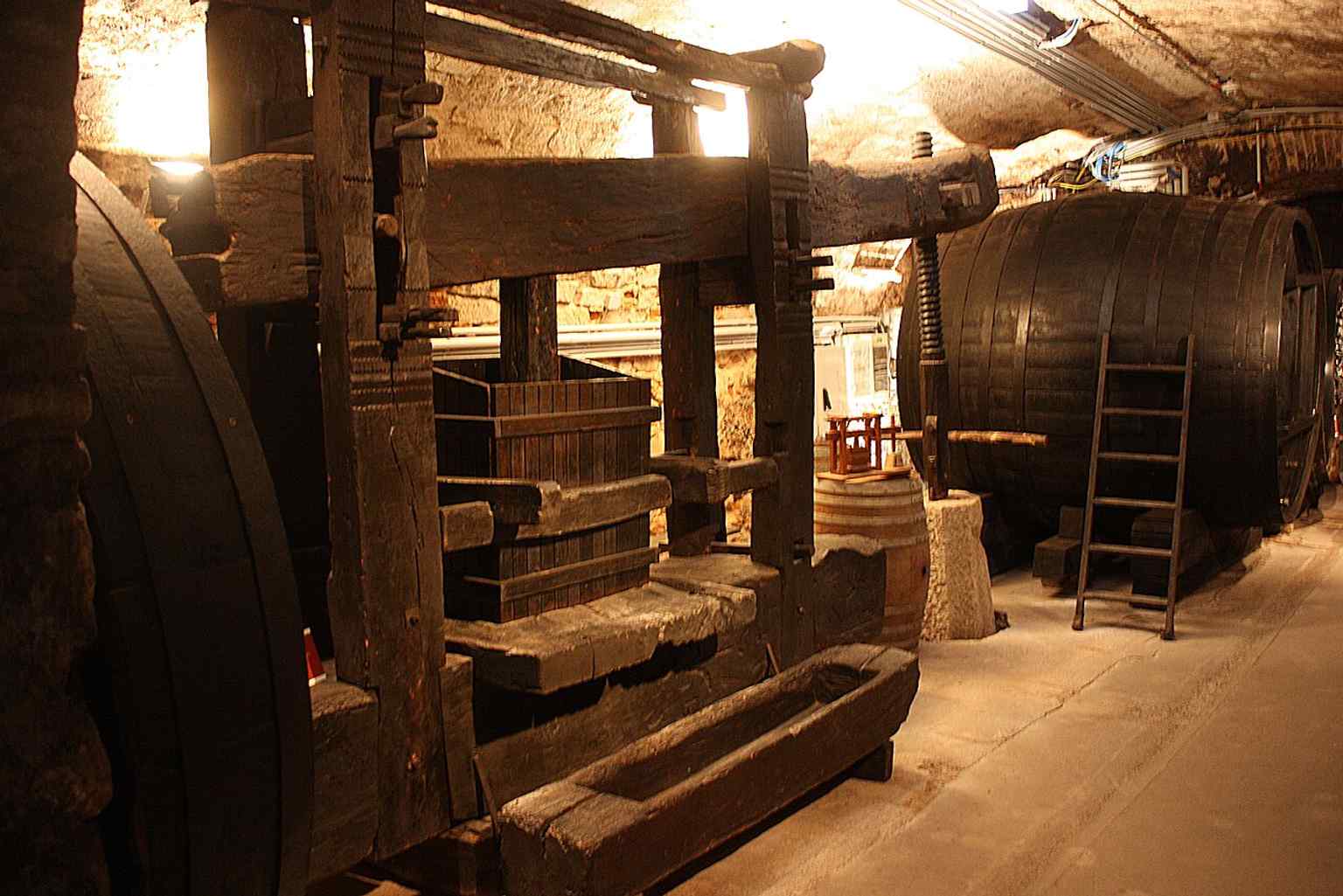 Inside the wine cellar, a nod to the palace’s exhibitions and the long regional tradition of wine culture.